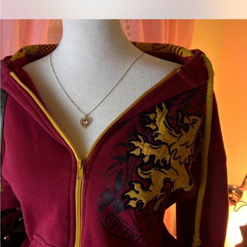 Warner Bros. Red and Yellow Harry Potter Hoodie